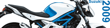 2009 Suzuki Motorcycle Models