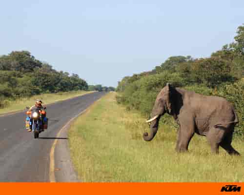 2008 KTM 990 Adventure S