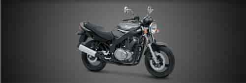 2008 Suzuki GS500E 