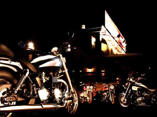 2008 Triumph America