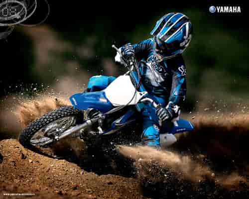 2008 Yamaha TT-R110E 