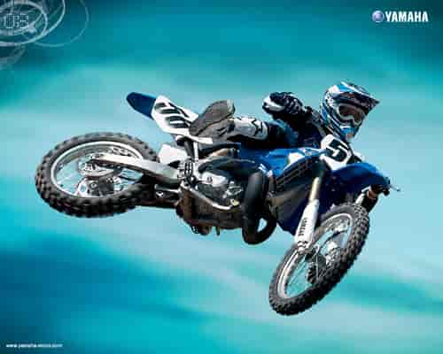 2008 Yamaha YZ250 (2-Stroke) 