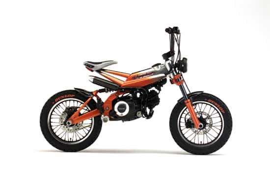 2005 Yamaha Chivicker