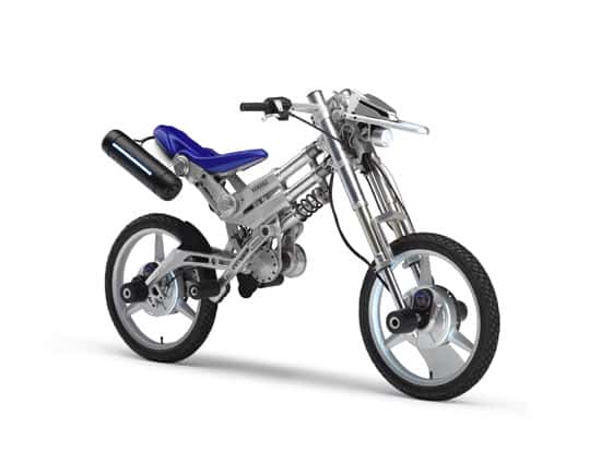 2005 Yamaha Deinonychus