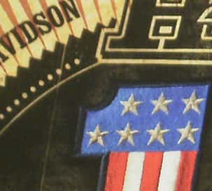 Olympus X-920 12MP digital camera still photo (taken at 12 megapixels)