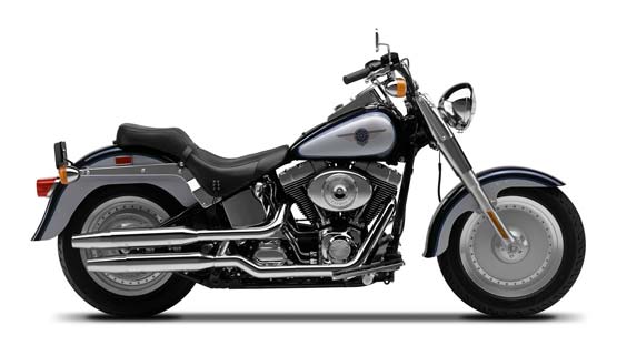 2001 Harley-Davidson FLSTF/FLSTFI Fat Boy