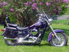 2002 Kawasaki Vulcan 800 Classic