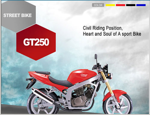 2008 Hyosung GT250 Comet 