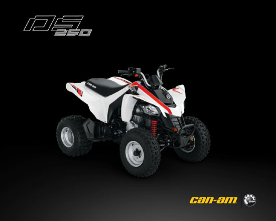 2009 Can-Am DS 250