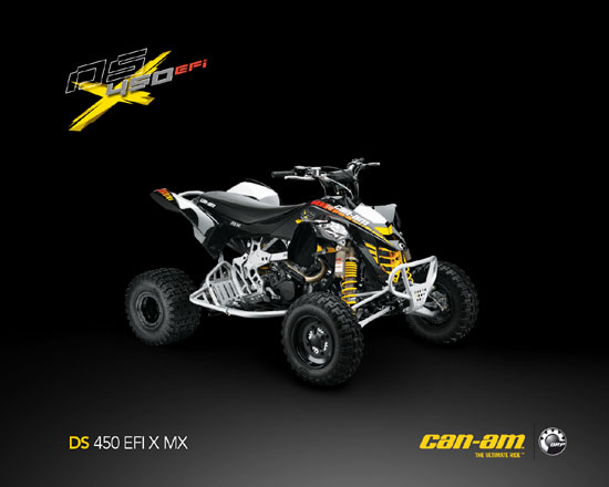 2009 Can-Am DS 450 EFI