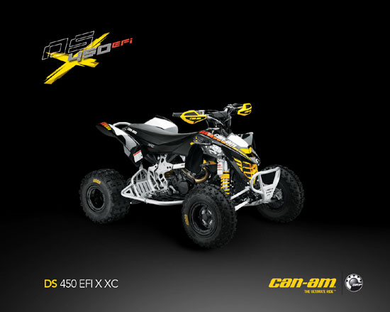 2009 Can-Am DS 450 EFI