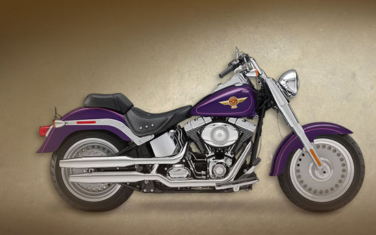 2009 Harley-Davidson Shrine Fat Boy 