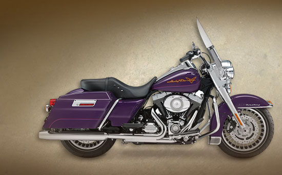 2009 Harley-Davidson Shrine Road King 