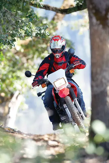 2009 Honda CRF230L
