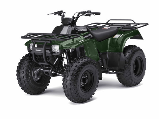 2009 Kawasaki Bayou 250