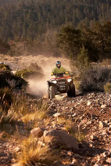 2009 Kawasaki Brute Force 650 4x4i