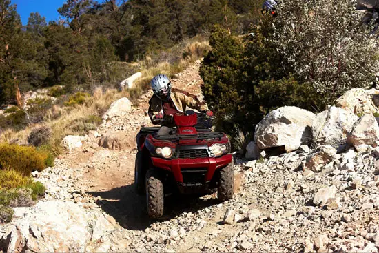 2009 Kawasaki Brute Force 750 4x4i