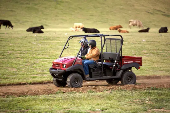 2009 Kawasaki Mule 4010 Trans4x4 Diesel