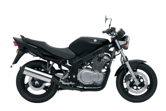 2009 Suzuki GS500 