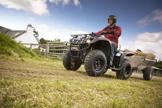 2009 Yamaha Big Bear 250