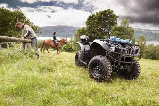 2009 Yamaha Big Bear 250