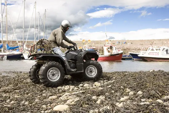2009 Yamaha Grizzly 350 4x4 IRS