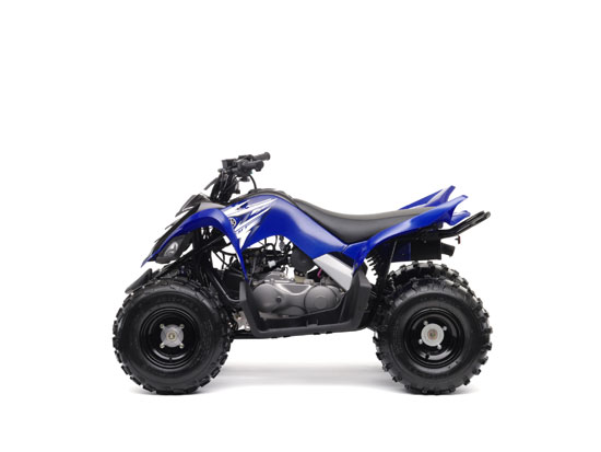 2009 Yamaha Raptor 90 YFM90 