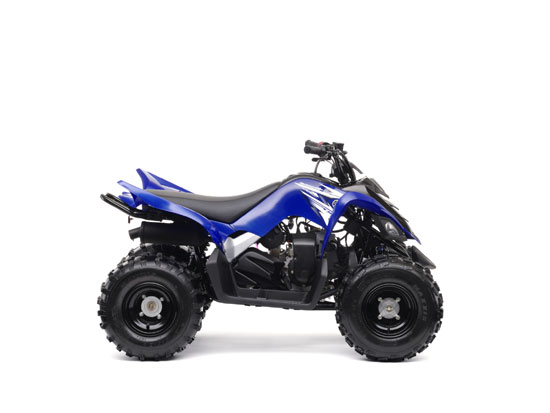 2009 Yamaha Raptor 90 YFM90 