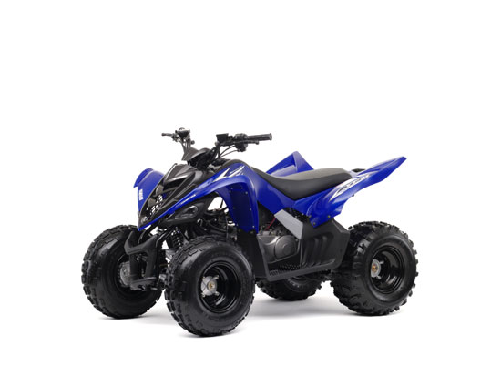 2009 Yamaha Raptor 90 YFM90 