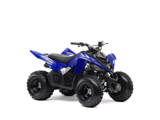 2009 Yamaha Raptor 90 YFM90 
