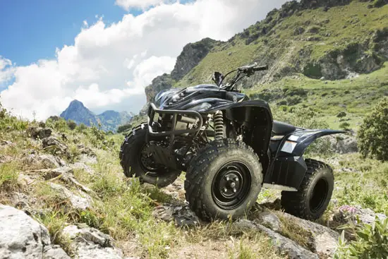 2009 Yamaha Wolverine 450