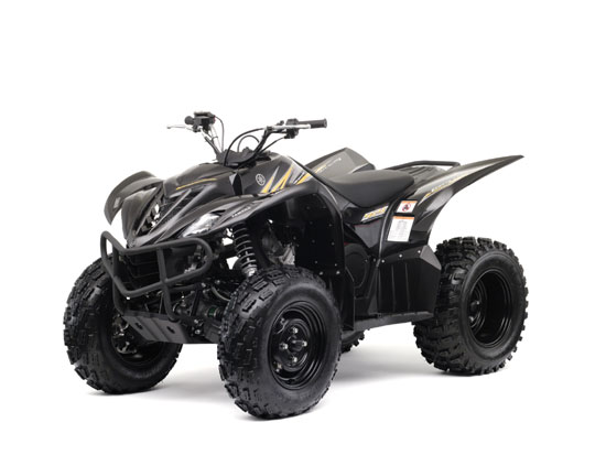 2009 Yamaha Wolverine 450