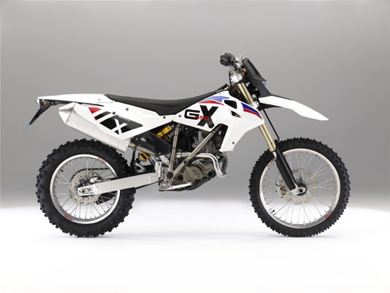 2010 BMW G450X