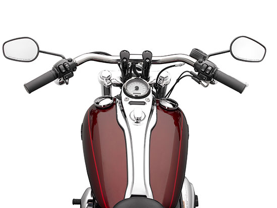 2010 Harley-Davidson FXDWG Dyna Wide Glide