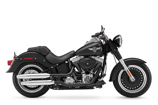 2010 Harley-Davidson Fat Boy Lo FLSTFB