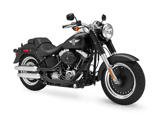 2010 Harley-Davidson Fat Boy Lo FLSTFB