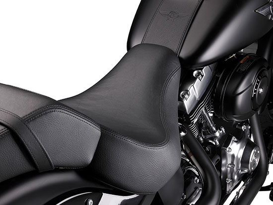 2010 Harley-Davidson Fat Boy Lo FLSTFB