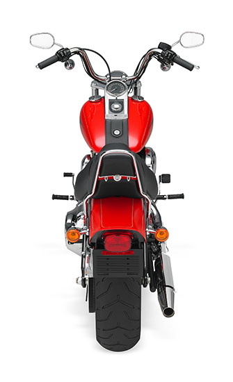 2010 Harley-Davidson Softail Custom FXSTC