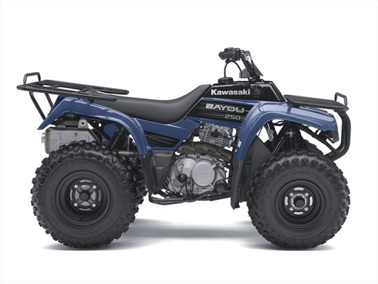 2010 Kawasaki Bayou 250