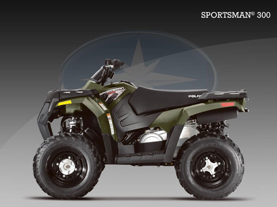 2010 Polaris 300