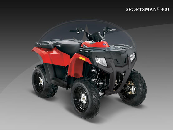 2010 Polaris 300