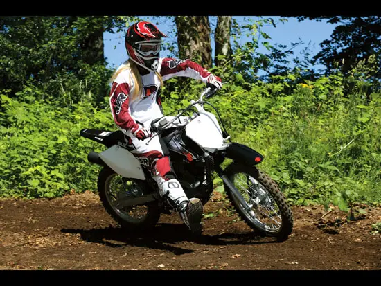 2010 Suzuki DR-Z125L