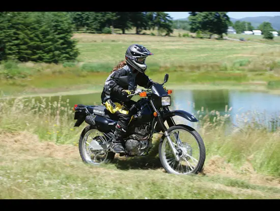 2010 Suzuki DR200SE