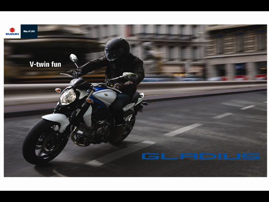 2010 Suzuki Gladius SFV650