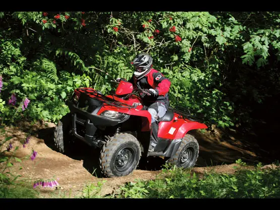 2010 Suzuki KingQuad 450AXi 