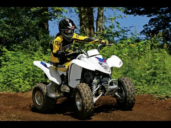 2010 Suzuki QuadSport Z250