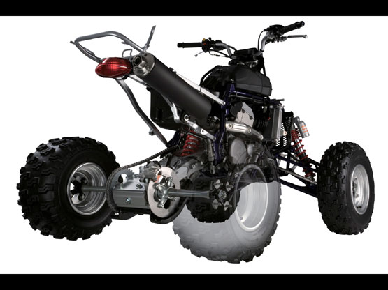 2010 Suzuki QuadSport Z400 Limited