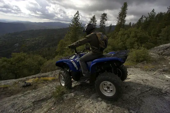 2010 Yamaha Grizzly 550 FI EPS