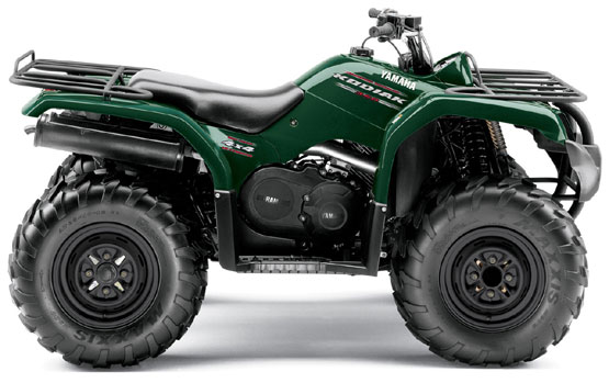 2010 Yamaha Kodiak 350 