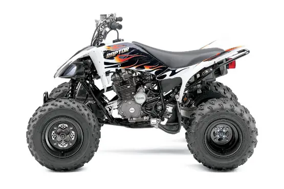 2010 Yamaha Raptor 250